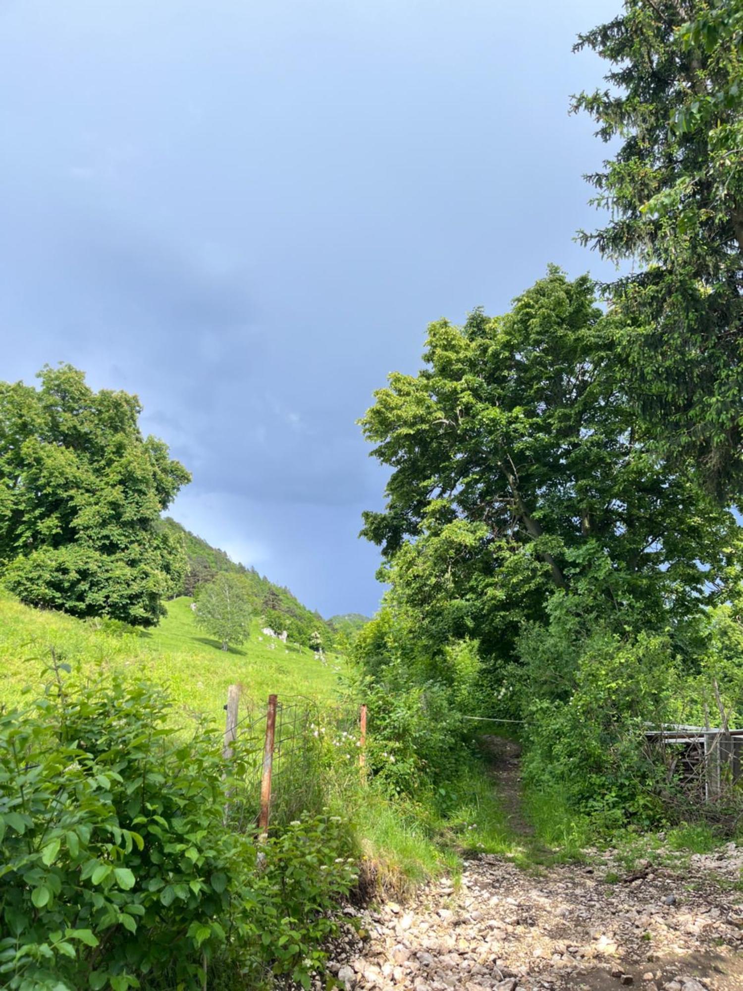 Cottage Zirovnica 外观 照片