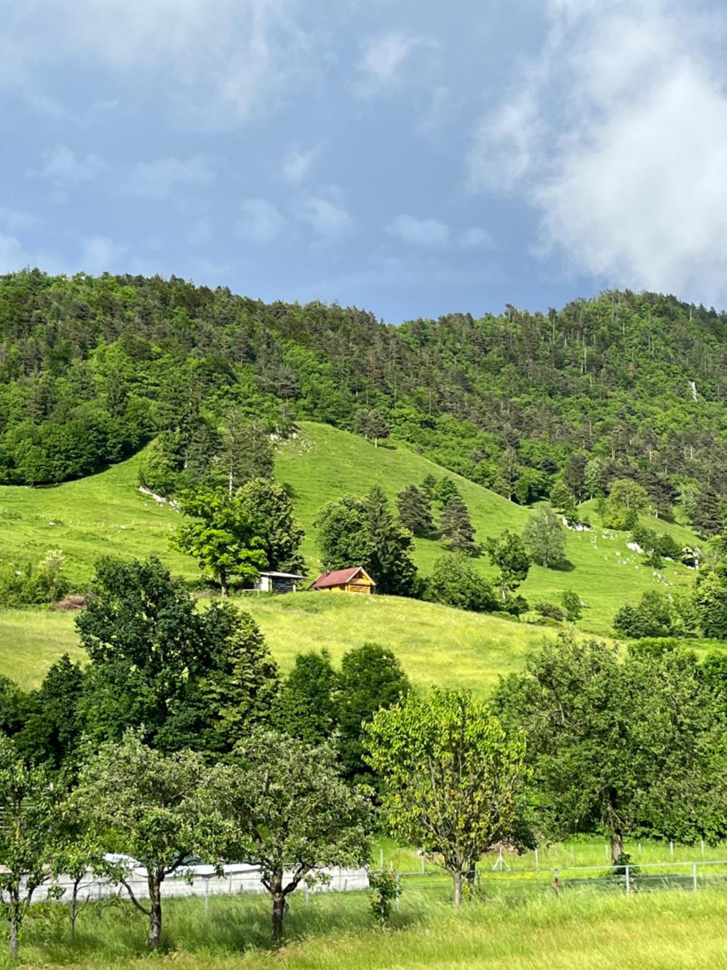 Cottage Zirovnica 外观 照片