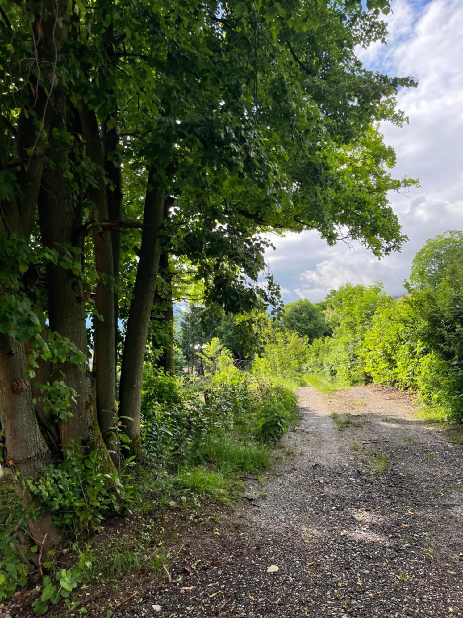Cottage Zirovnica 外观 照片