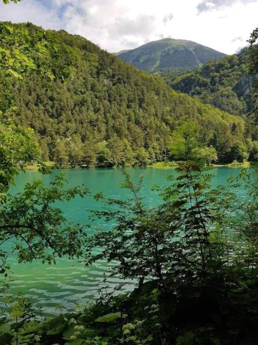 Cottage Zirovnica 外观 照片