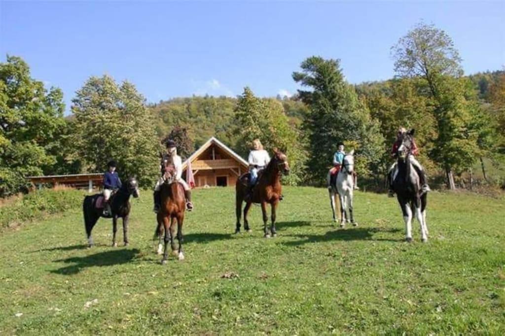 Cottage Zirovnica 外观 照片